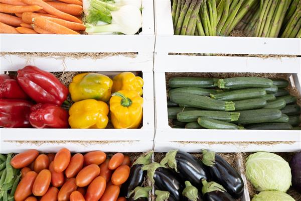 Macfrut 2024: 8th - 9th - 10th May 2024 - Rimini - Expo Centre