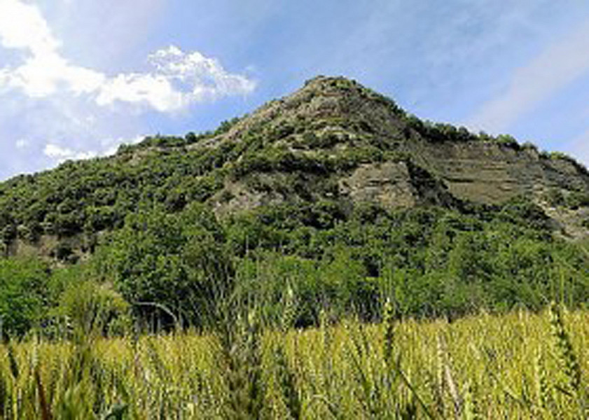 A 2.5 million euro call for companies