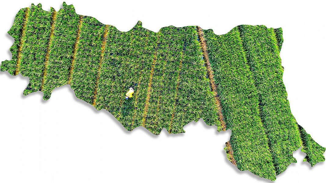 Nuovi investimenti di 4,5 milioni di euro nel settore agricolo