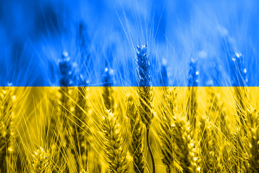 Ucraina, gli effetti sull'agricoltura